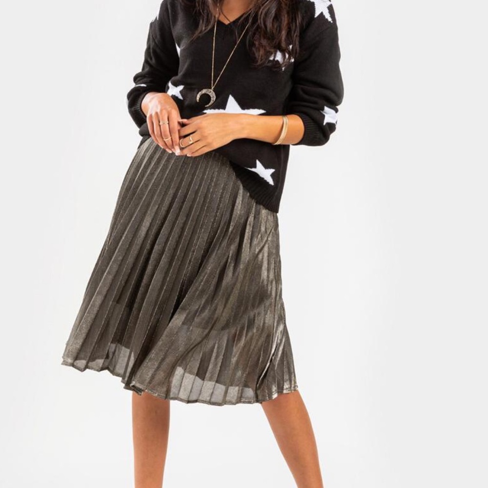 NWT Skirt
